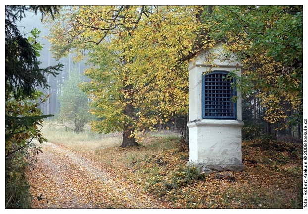 zp�t na n�hledy