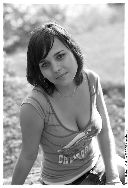 zp�t na n�hledy