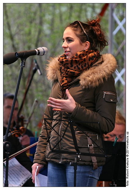 zp�t na n�hledy