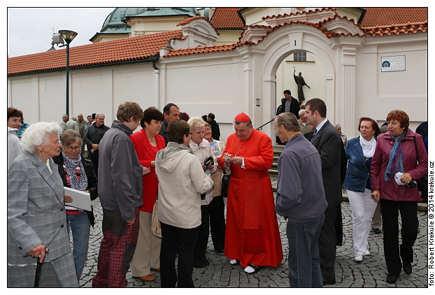 zp�t na n�hledy